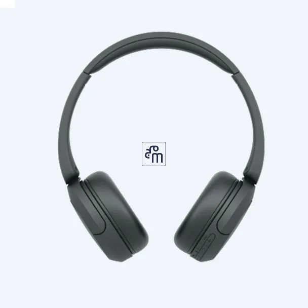 Sony WH CH520 Wireless Headphones-Black