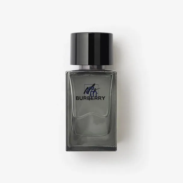 Burberry Mr. Burberry Eau de Toilette for Men 100ml