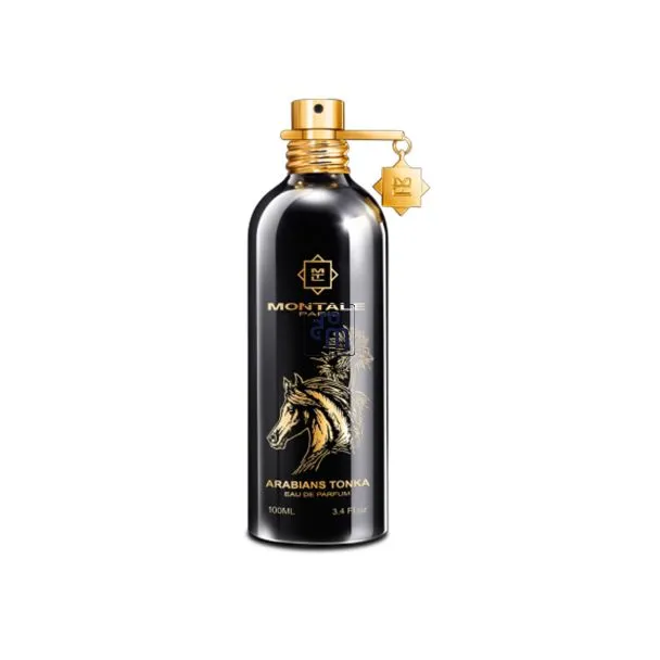 Montale Arabians Tonka Eau de Parfum for Unisex 100ml