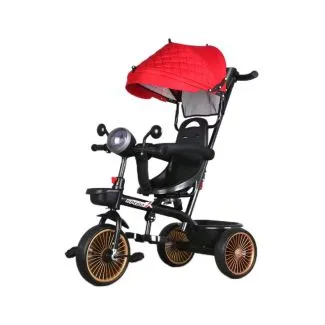 3-in-1 Baby Tricycle Ride-On Car with Push Rod – 1012