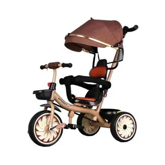 Toddler Tricycle with Canopy, Storage & Parental Handle (Ages 3+) – 311