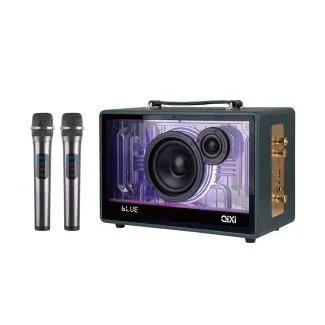 QIXI RGB Wireless Karaoke Speaker Dual Mic Bass Boost